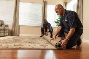 Read more about the article Methods to Stop Mold from Spreading in Your Carpets After Water Damage