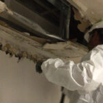 Residential Mold Remediation