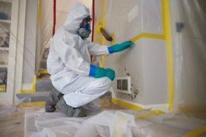 Mold Cleaning with Full Gear