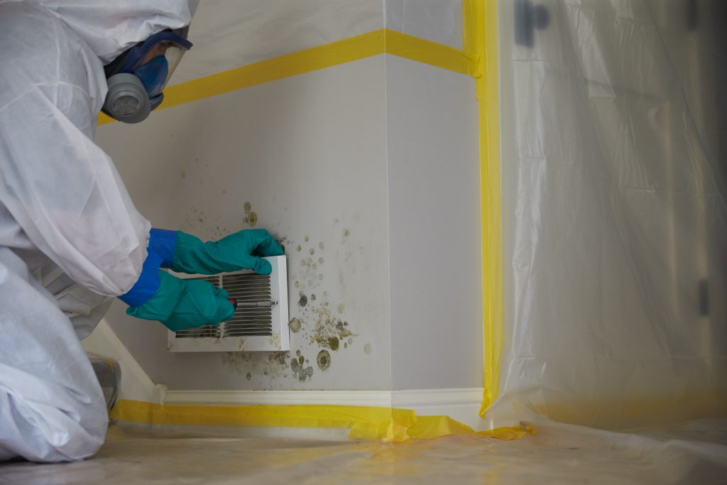 Read more about the article Why Get a Mold Inspection When Buying a House in Conyers, Georgia?