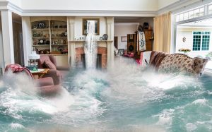 Read more about the article How to Recover from Water Damage in Atlanta, Georgia, and the Carolinas