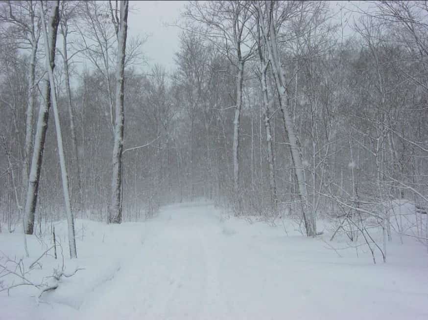 Read more about the article How to Prepare for a Snowstorm this Winter