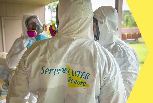 ServiceMaster Employees on PPE